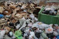 С 1 января мусор в Ленобласти будет вывозить единый оператор. Отвечаем на главные вопросы о его работе