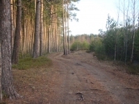 Суд обязал Комитет по природным ресурсам Ленинградской области поставить на кадастровый учет  государственные природные заказники регионального значения 