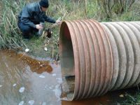 Водные объекты Ленинградской области загрязняются