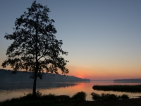 Суд обязал Комитет по природным ресурсам Ленинградской области поставить на кадастровый учет памятник природы регионального значения «Озеро Красное»